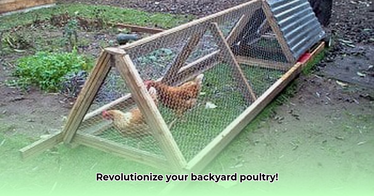 images-of-chicken-tractors